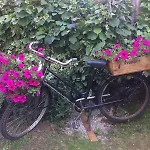 Il Torchio - Guest House 3* Dormelletto