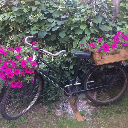 L' Antico Torchio * Dormelletto