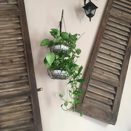 Villa L' Antico Torchio *